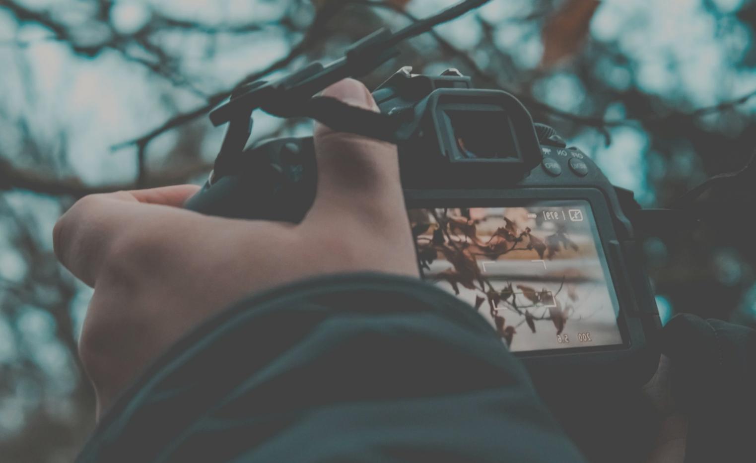 Professional wedding video editing setup showing timeline and color grading tools